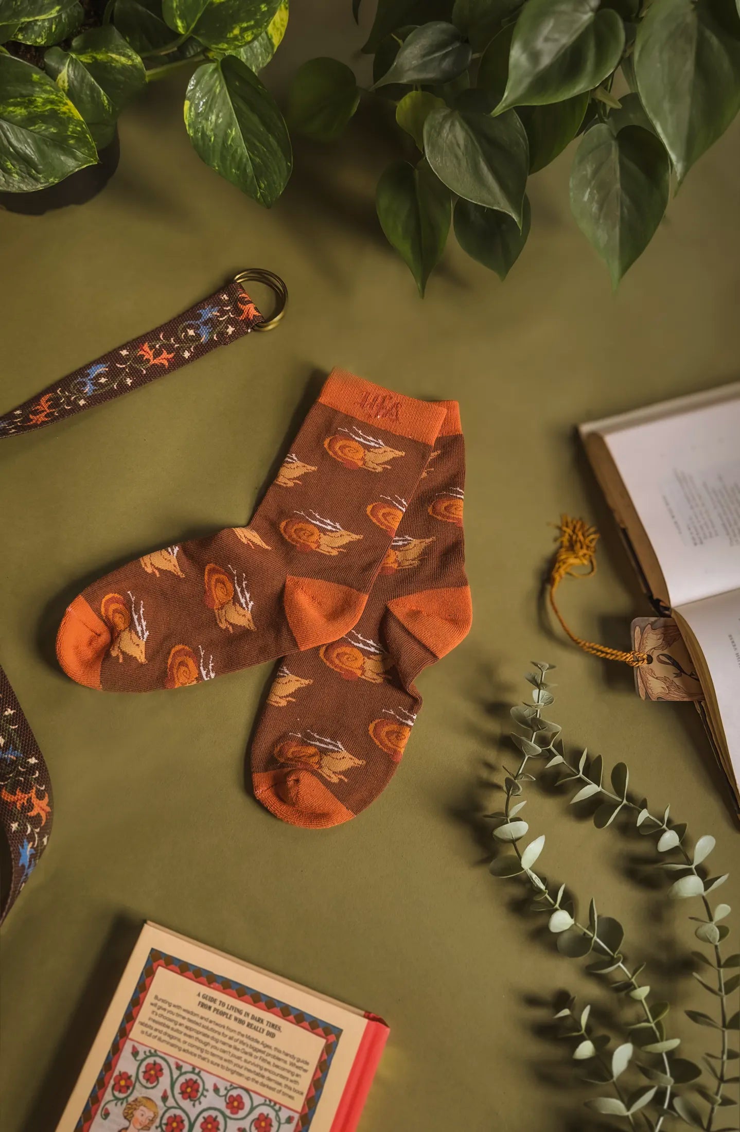 Unearthed | Sneer Socks